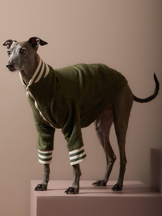 Chaqueta Bomber Verde Galgo Italiano / Whippet MOSS