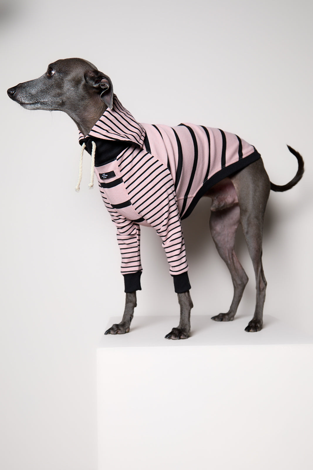 Sueter de Rayas Rosado y Negro LINE para Galgo Italiano / Whippet