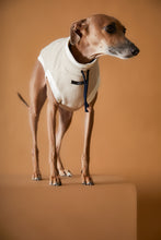 Cargar imagen en el visor de la galería, Chaleco Cuello Tortuga Arena Galgo Italiano / Whippet SOPHIE
