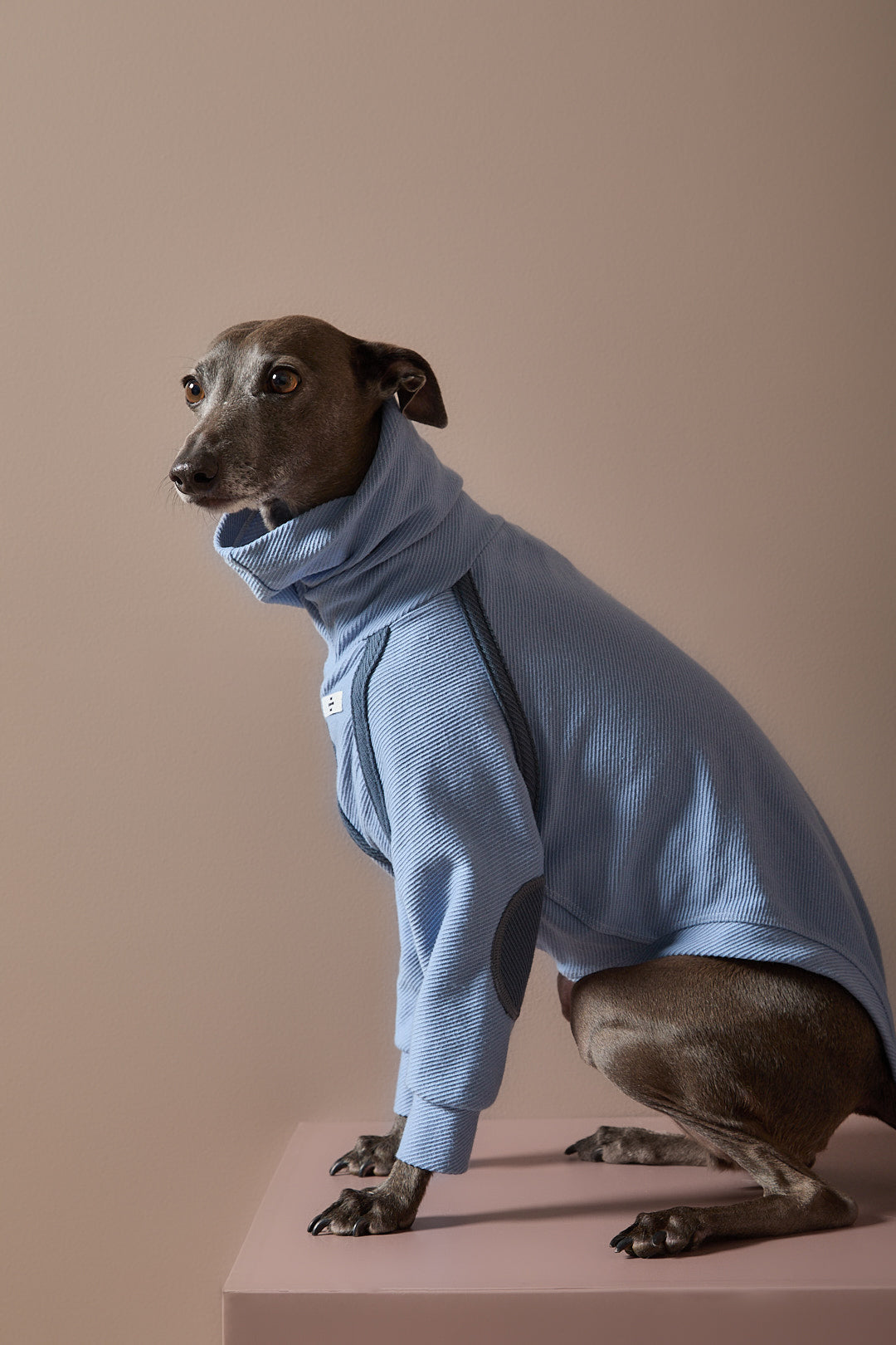 Sueter Azul Claro Cuello Tortuga Galgo Italiano / Whippet CAIRO