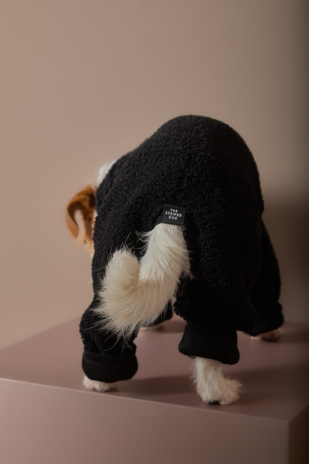 Enterizo Negro Cuello Tortuga  ROMA