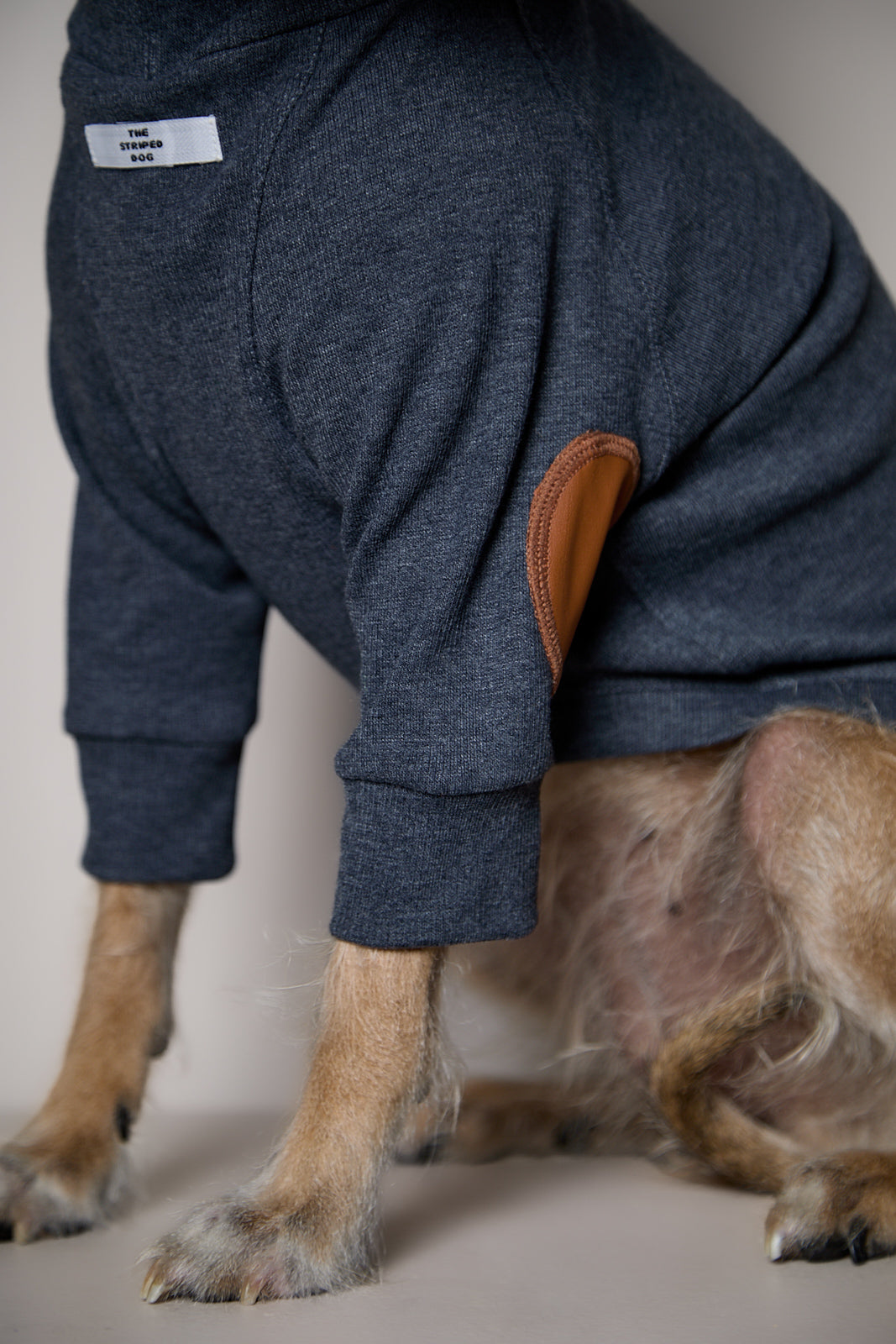 Sueter de Rib Cuello Tortuga Azul Jaspe y Parches MIST para Perro Standard