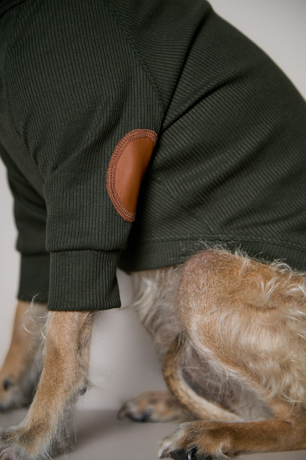Sueter de Rib Cuello Tortuga Verde Oliva y Parches MIST para Perro Standard