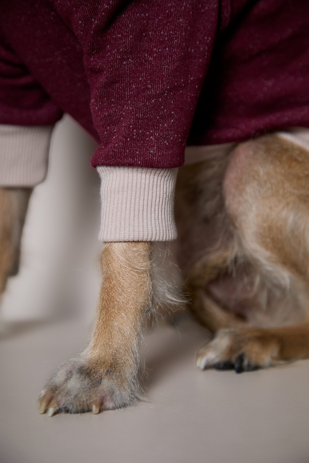 Sueter Cuello Alto Vinotinto DUSK para Perro Standard