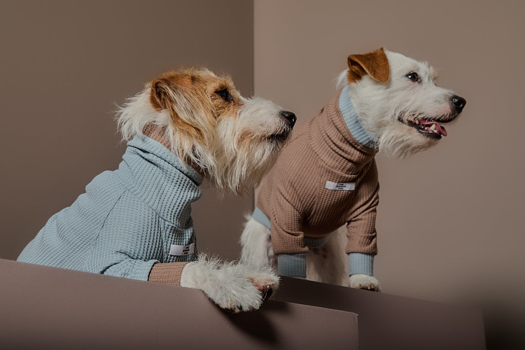 Sueter Waffle Moka GRAIN