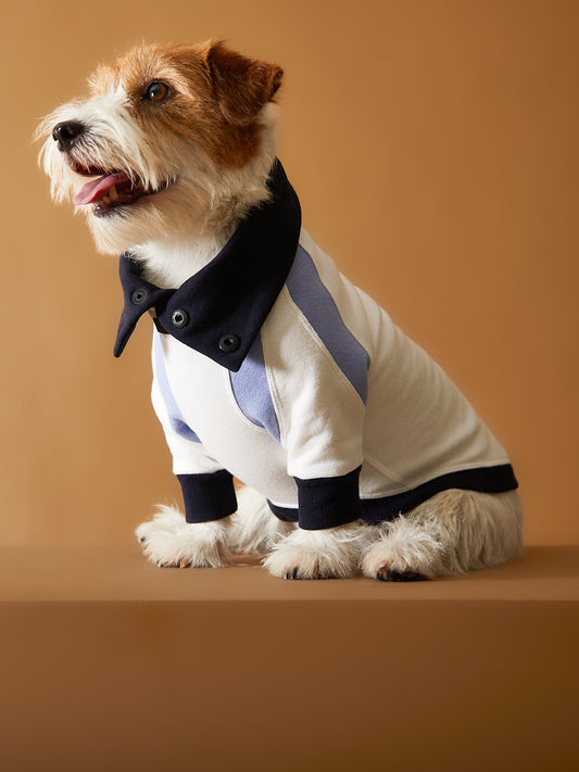 Sueter Tricolor Cuello Tortuga EMILY
