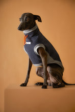 Cargar imagen en el visor de la galería, Chaleco Cuello Tortuga Gris Oscuro Galgo Italiano / Whippet SOPHIE
