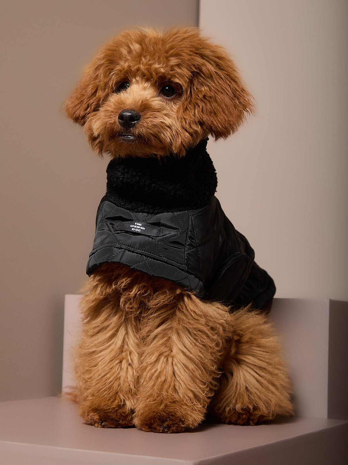 Capa Negra Cuello Tortuga HIRO