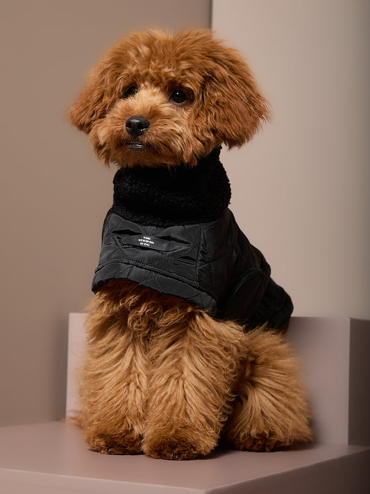 Capa Negra Cuello Tortuga HIRO