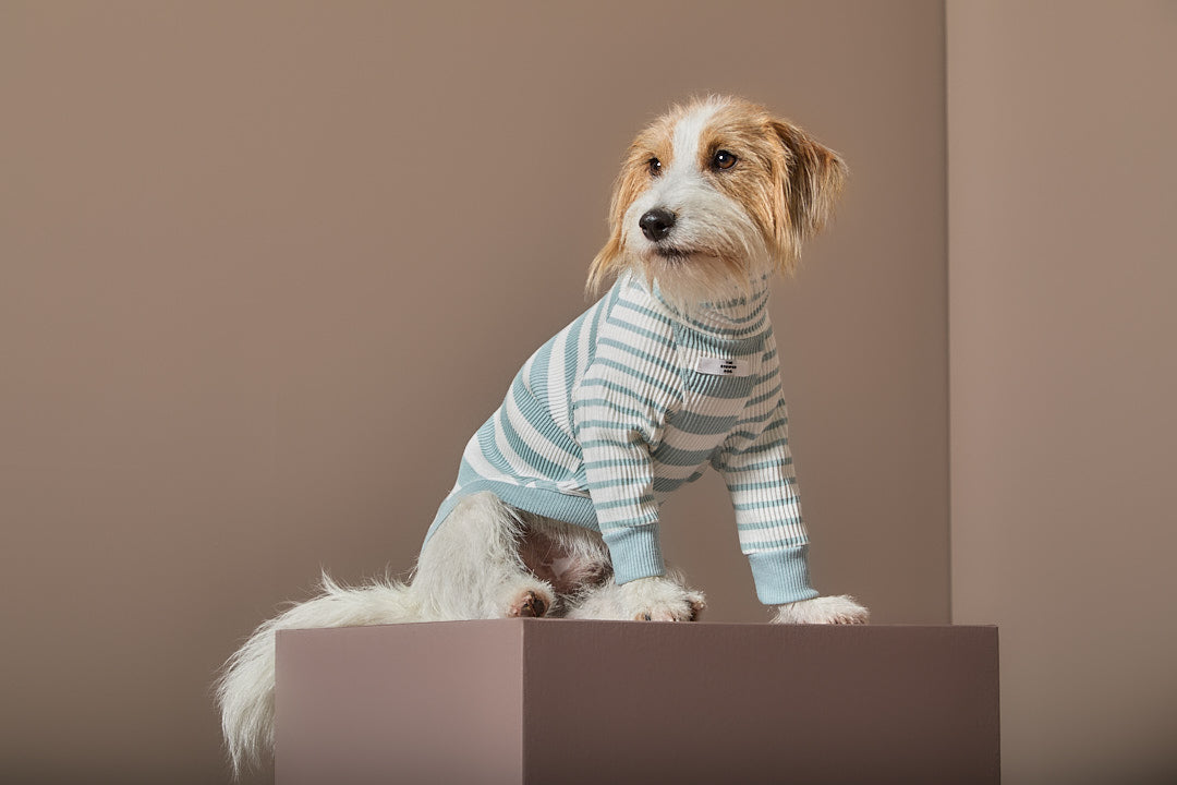 Sueter Rayas Turquesa y Crema Cuello Tortuga REED