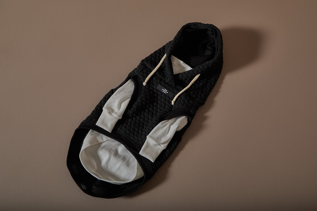 Chaleco Negro Texturizado con Capucha Galgo Italiano / Whippet BIRCH