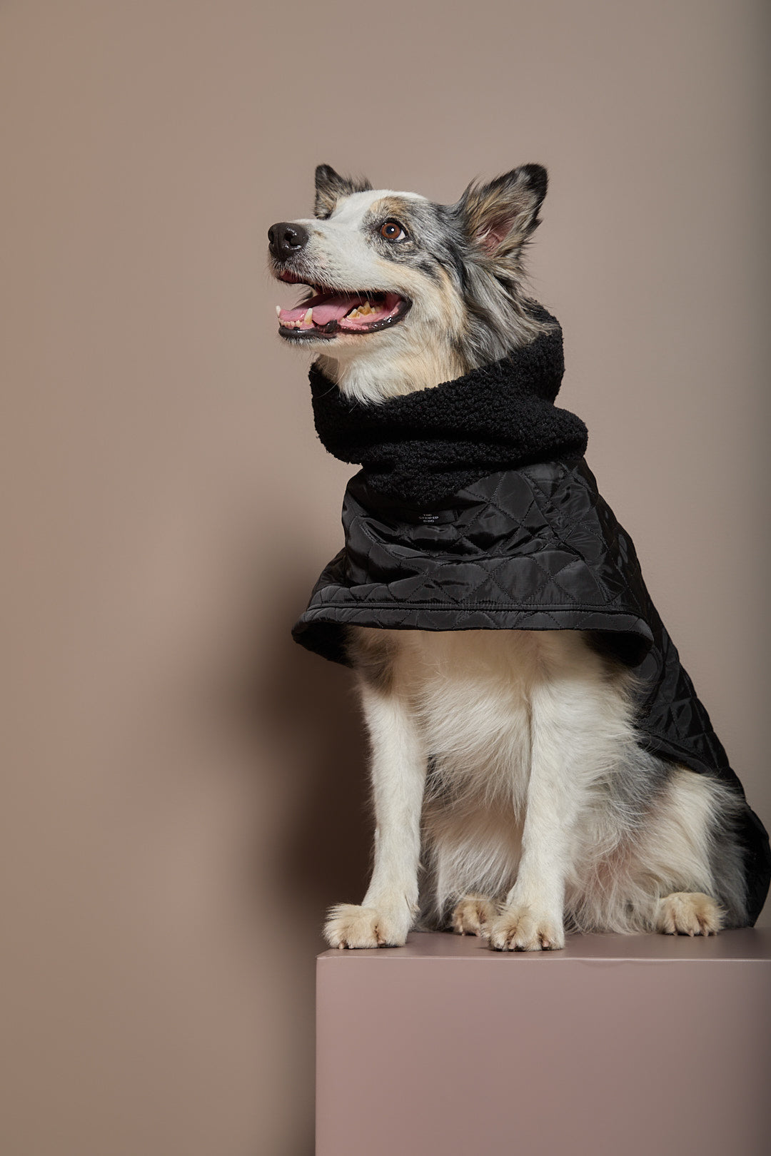 Capa Negra Cuello Tortuga HIRO