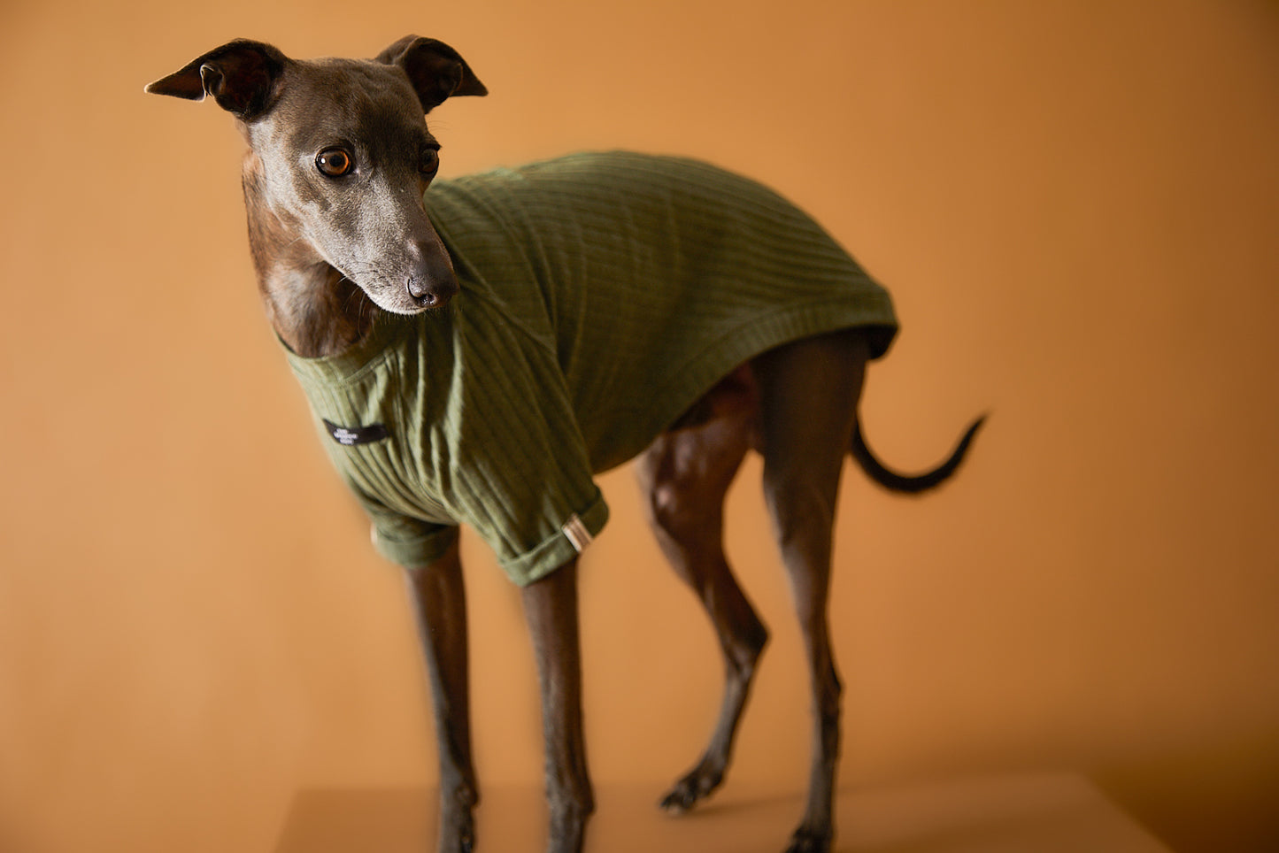 Camiseta Verde Galgo Italiano / Whippet CLAIRE