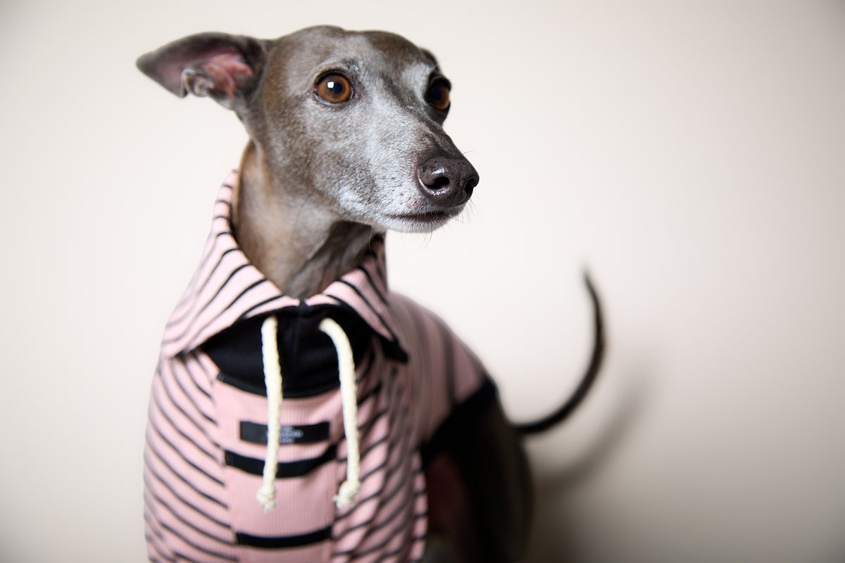 Sueter de Rayas Rosado y Negro LINE para Galgo Italiano / Whippet