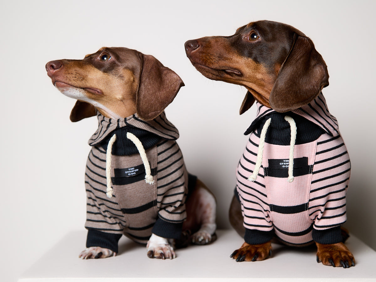 Sueter de Rayas Rosado y Negro LINE para Perro Salchicha