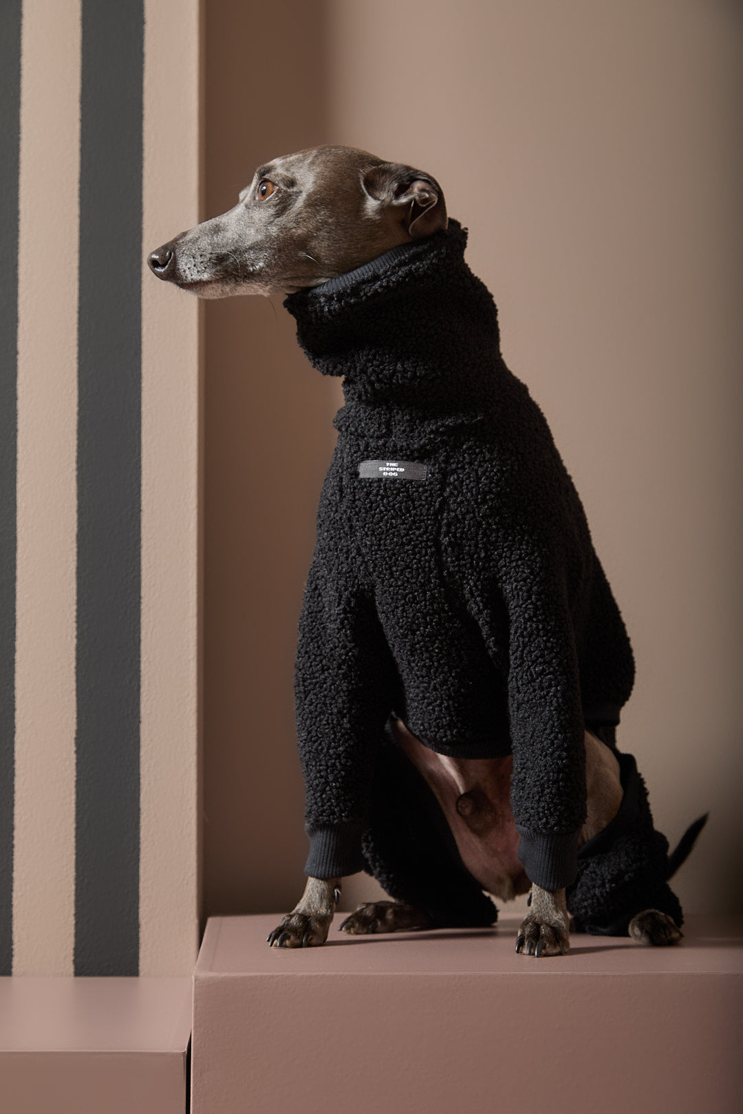 Enterizo Negro Cuello Tortuga Galgo Italiano / Whippet ROMA