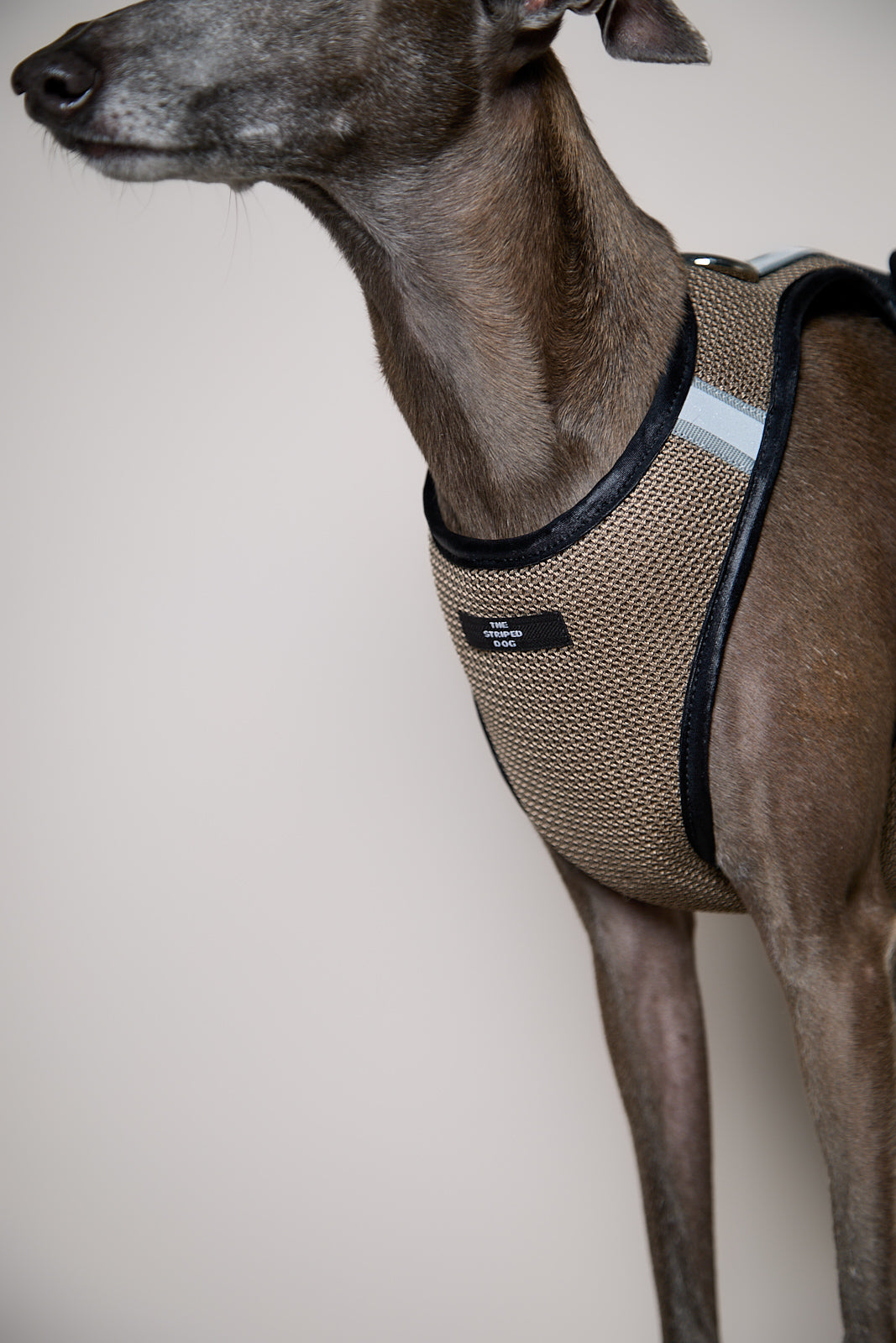 Arnes de Malla Tabaco COBBLESTONE para Galgo Italiano / Whippet