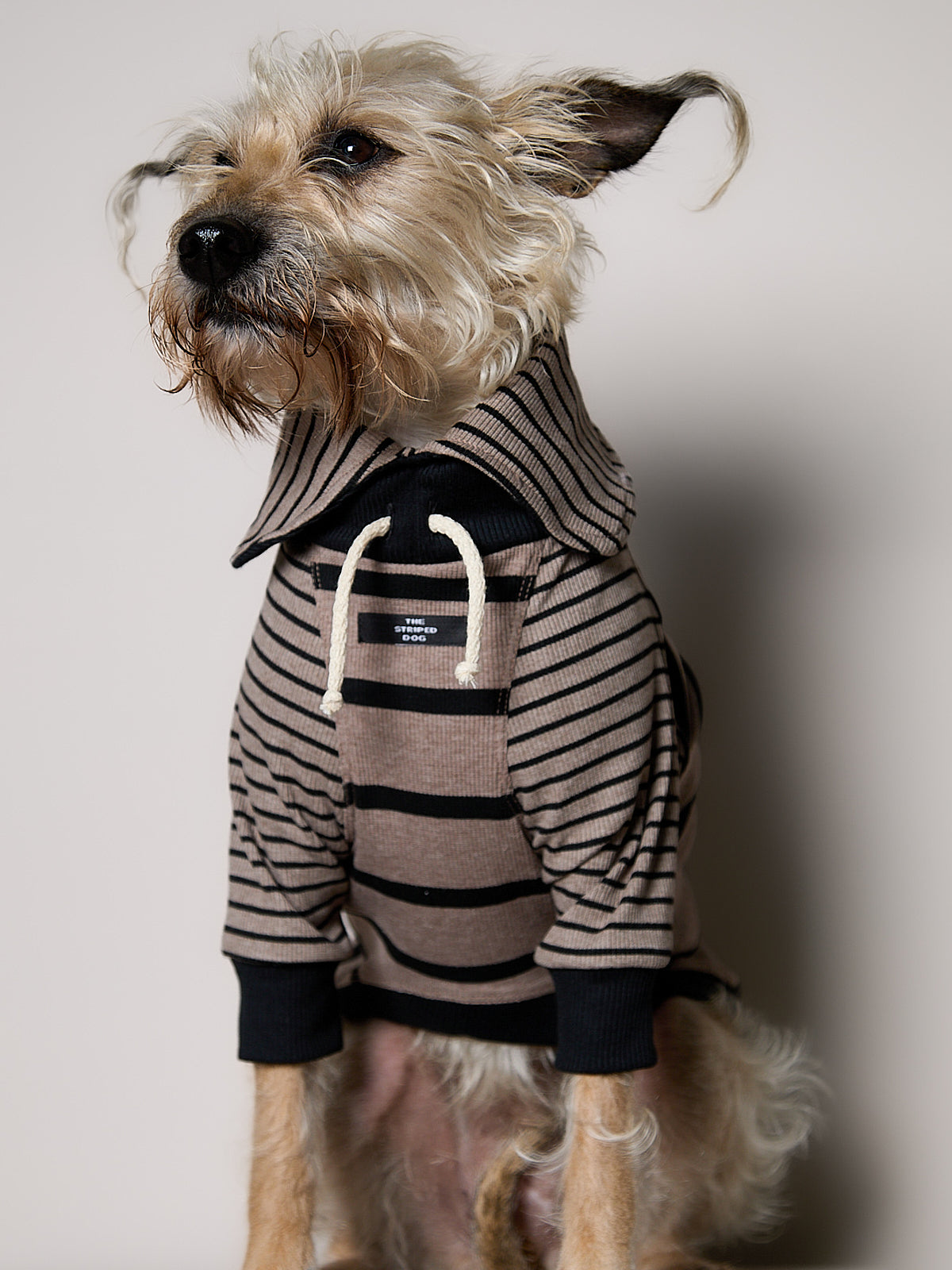 Sueter de Rayas Taupe y Negro LINE para Perro Standard