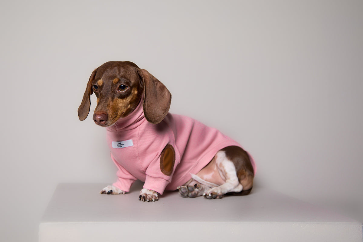 Sueter de Rib Cuello Tortuga Rosado y Parches MIST para Perro Salchicha