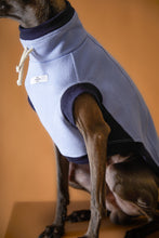 Cargar imagen en el visor de la galería, Chaleco Cuello Tortuga Azul Claro Galgo Italiano / Whippet SOPHIE
