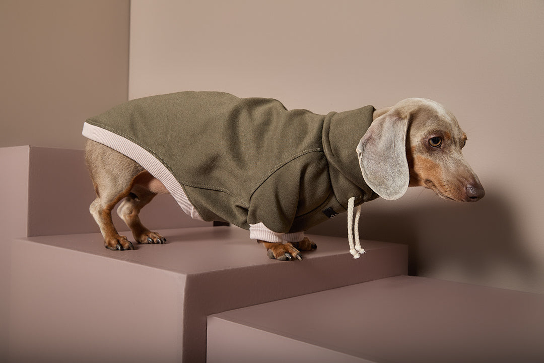 Buzo Verde Cuello Tortuga Salchicha STONE