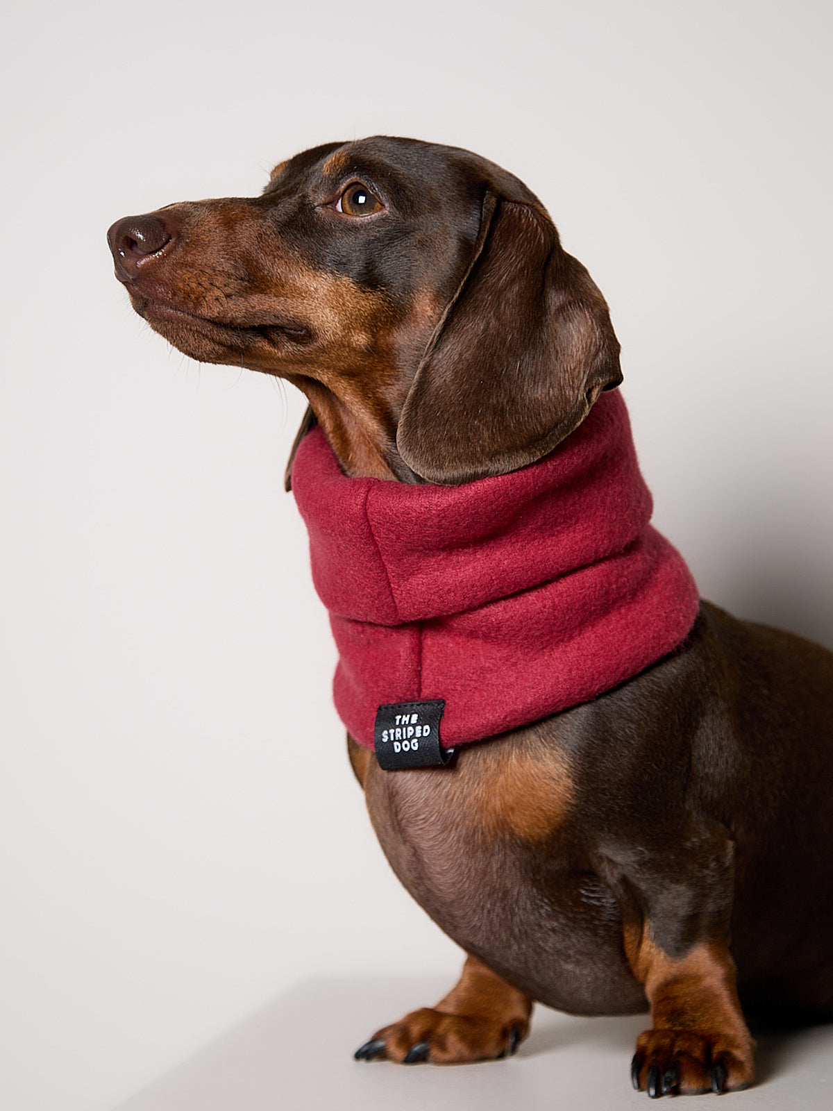 Cuello Vinotinto en Fleece CHILL