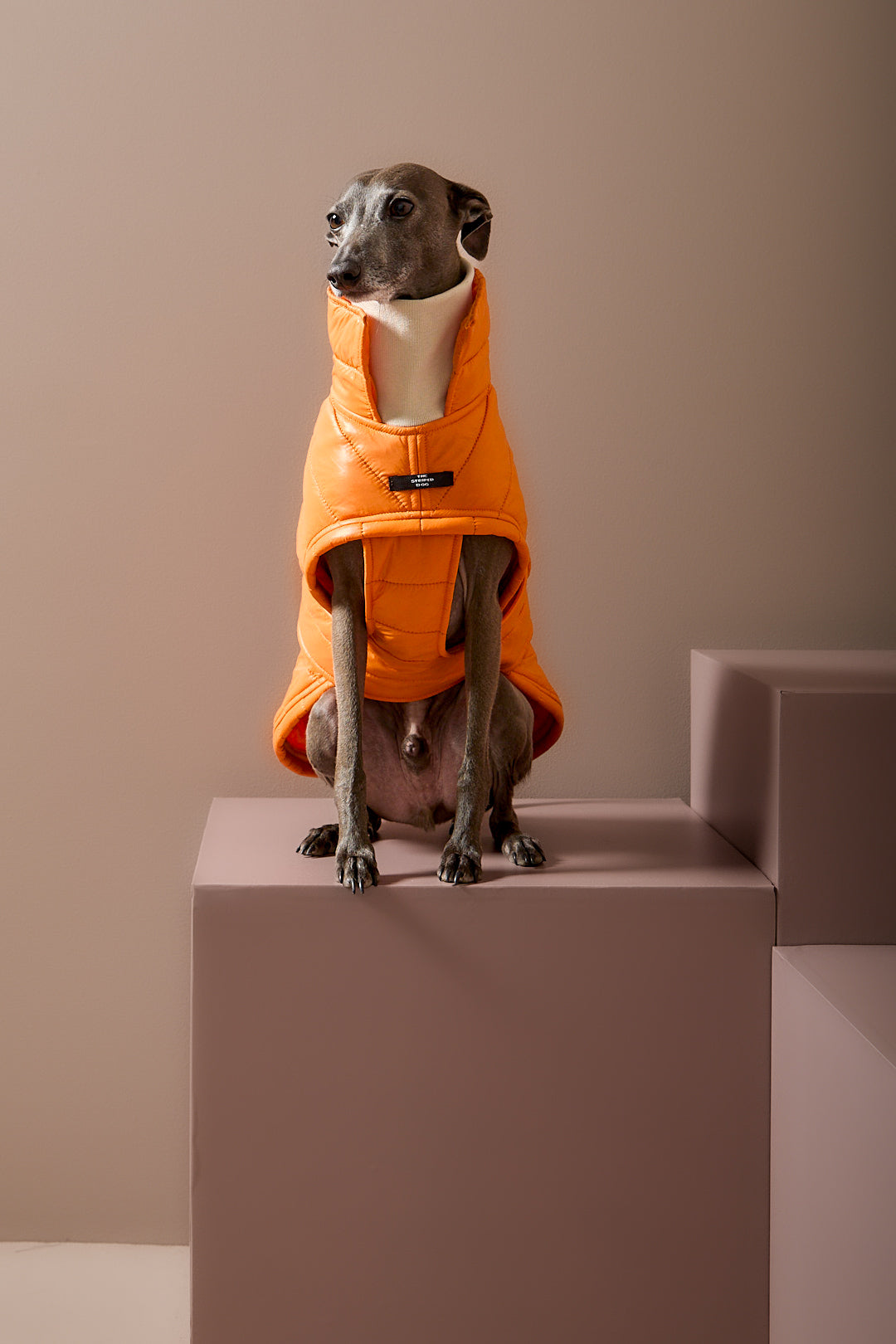 Chaqueta Naranja Acolchada EMBER para Galgo Italiano / Whippet