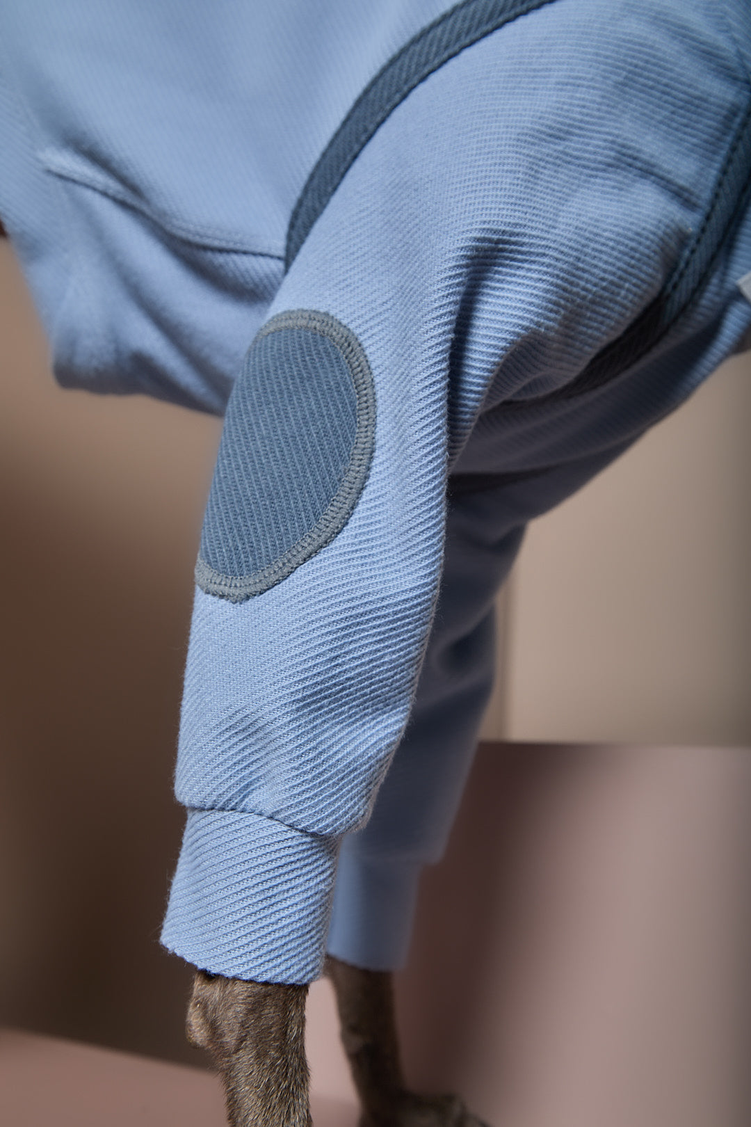 Sueter Azul Claro Cuello Tortuga Galgo Italiano / Whippet CAIRO