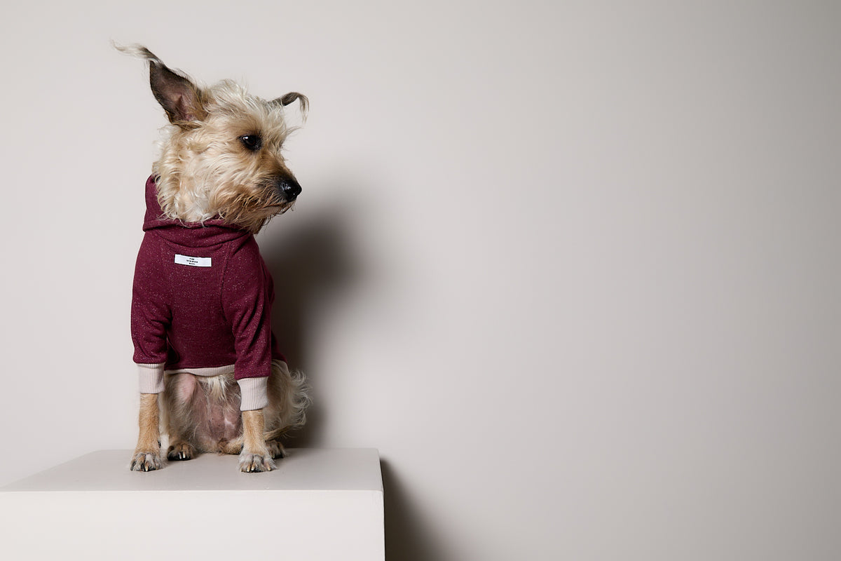 Sueter Cuello Alto Vinotinto DUSK para Perro Standard