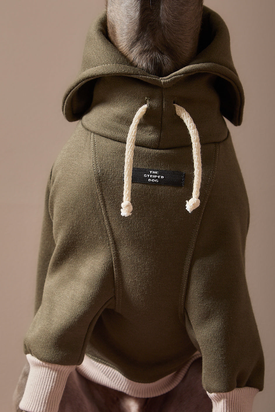 Buzo Verde Cuello Tortuga Galgo Italiano / Whippet STONE