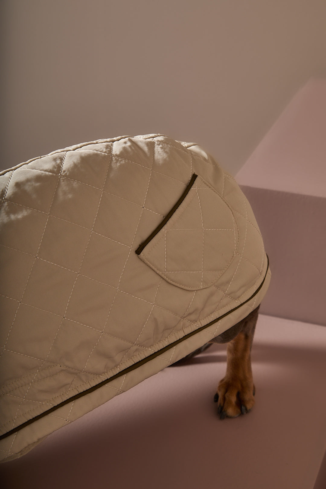 Capa Beige Salchicha FAWN