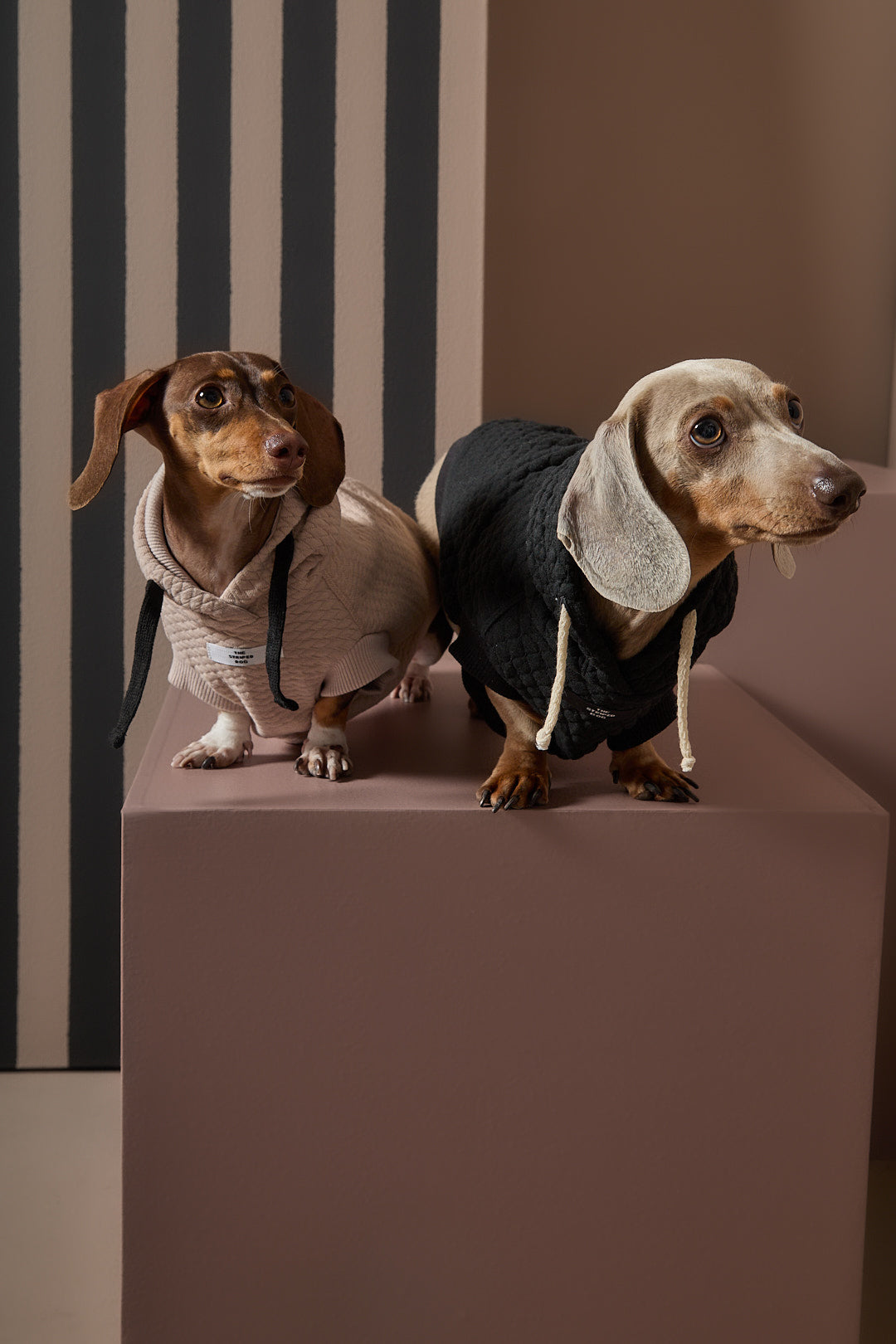 Chaleco Negro Texturizado con Capucha Salchicha BIRCH