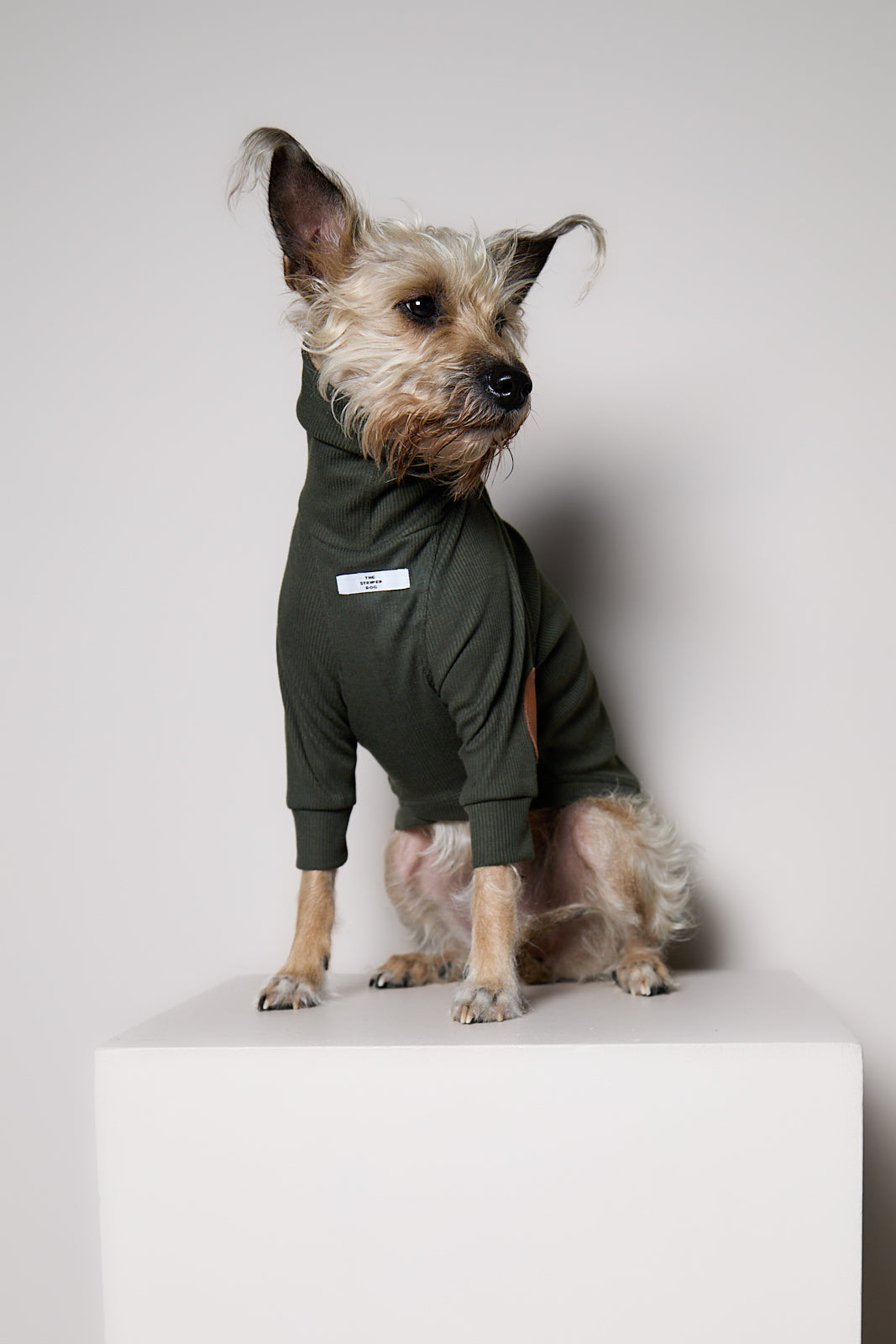 Sueter de Rib Cuello Tortuga Verde Oliva y Parches MIST para Perro Standard