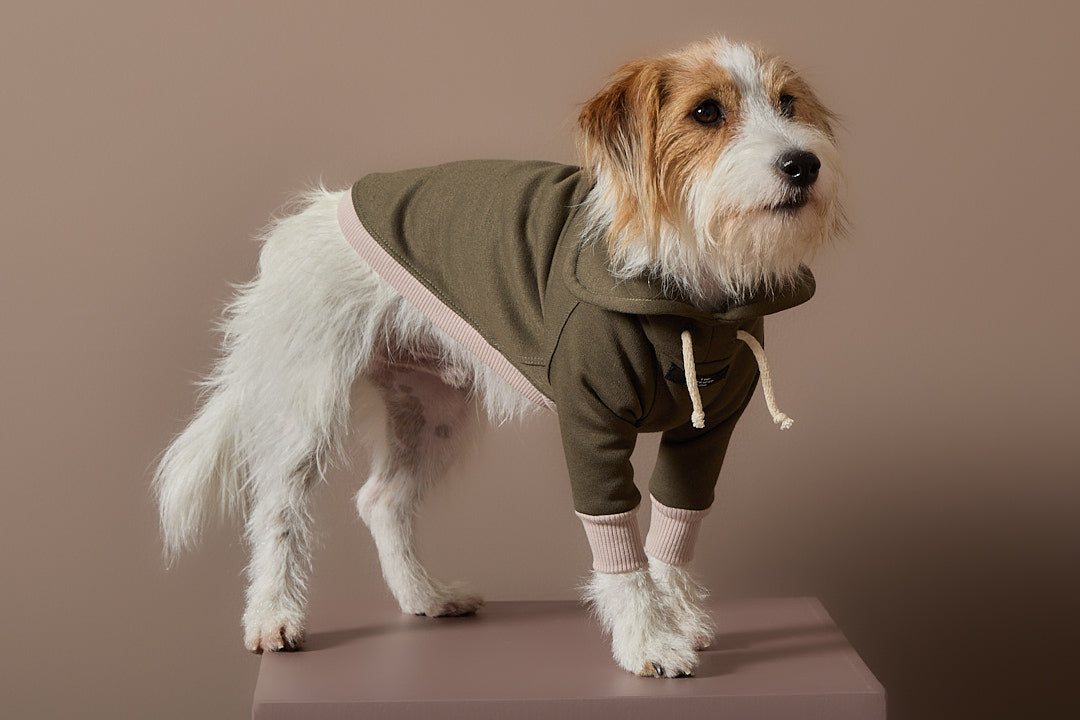 Buzo Verde Cuello Tortuga  STONE