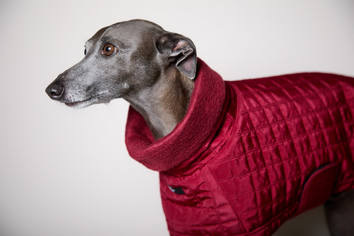 Chaqueta Acolchada Cuello Tortuga Vinotinto VELA para Galgo Italiano / Whippet