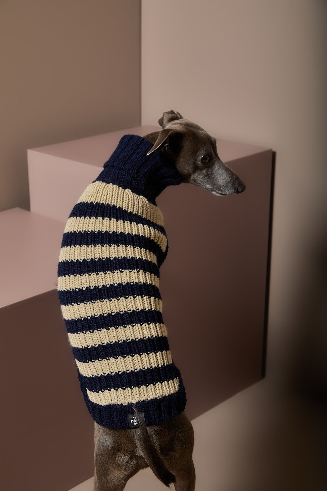 Sueter Tejido a Rayas Galgo Italiano / Whippet KYRA