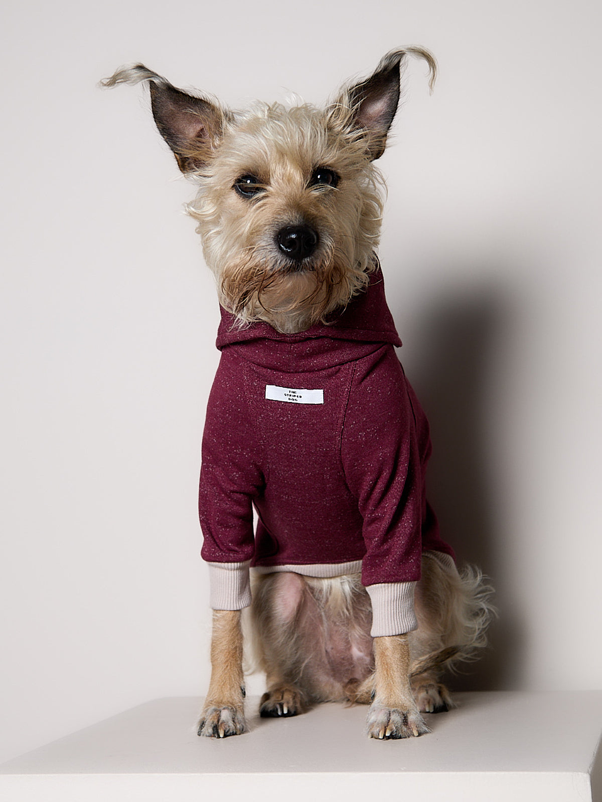 Sueter Cuello Alto Vinotinto DUSK para Perro Standard