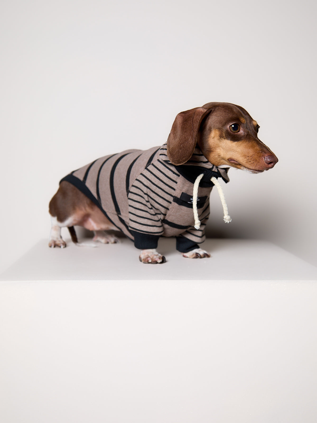 Sueter de Rayas Taupe y Negro LINE para Perro Salchicha