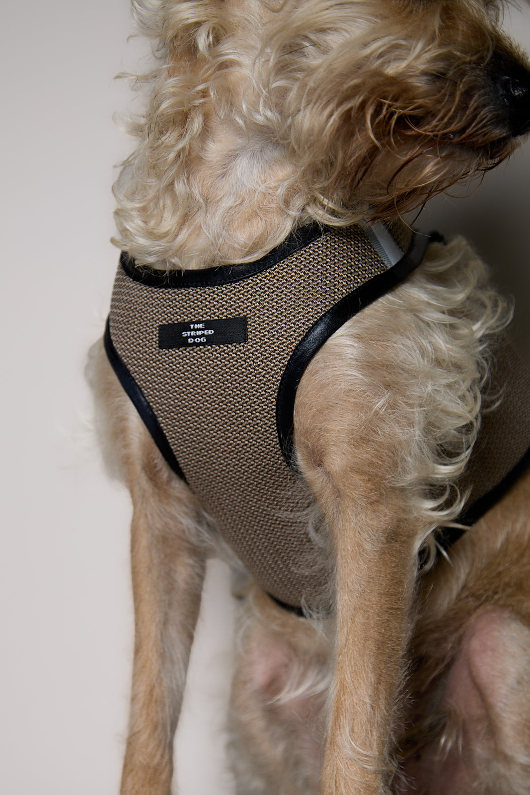 Arnes de Malla Tabaco COBBLESTONE para Perro Standard