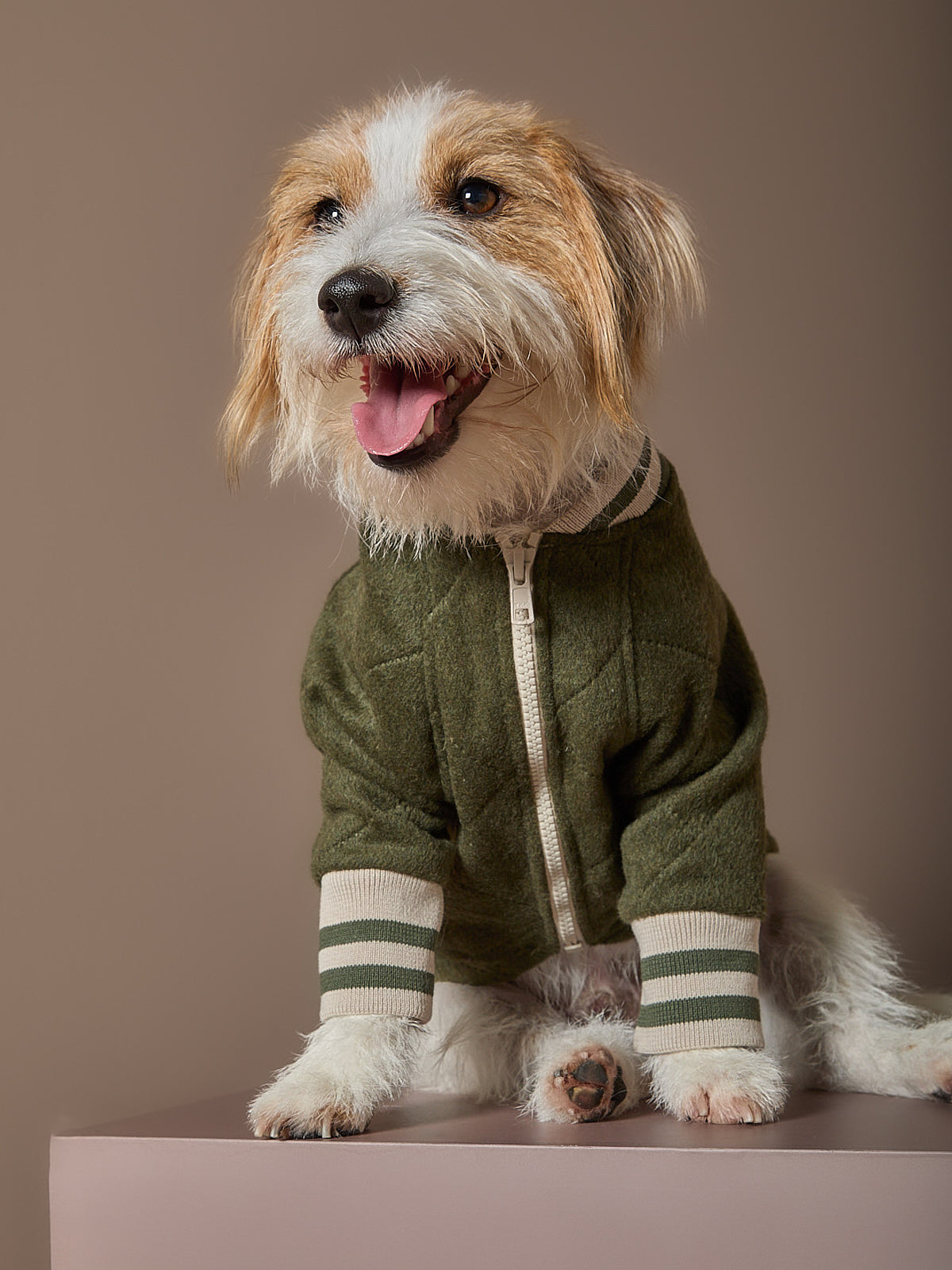 Chaqueta Bomber Verde MOSS