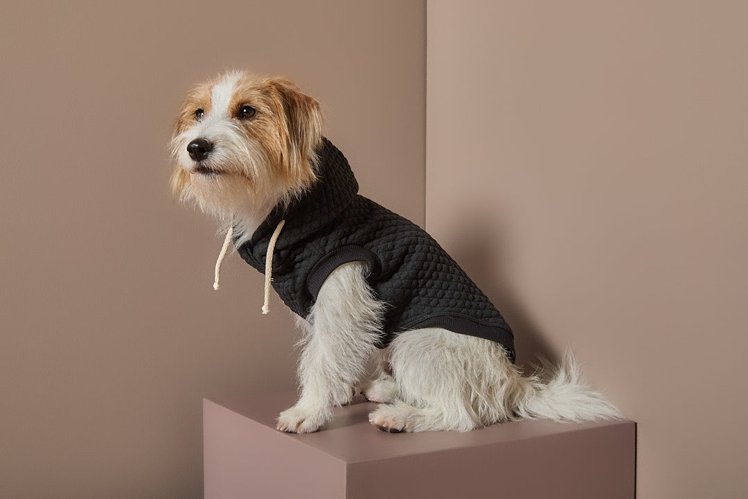 Chaleco Negro Texturizado con Capucha BIRCH