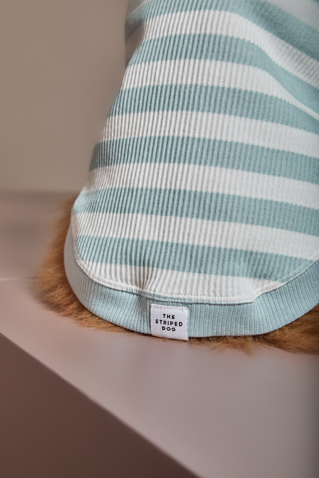 Sueter Rayas Turquesa y Crema Cuello Tortuga REED