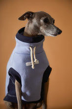 Cargar imagen en el visor de la galería, Chaleco Cuello Tortuga Azul Claro Galgo Italiano / Whippet SOPHIE
