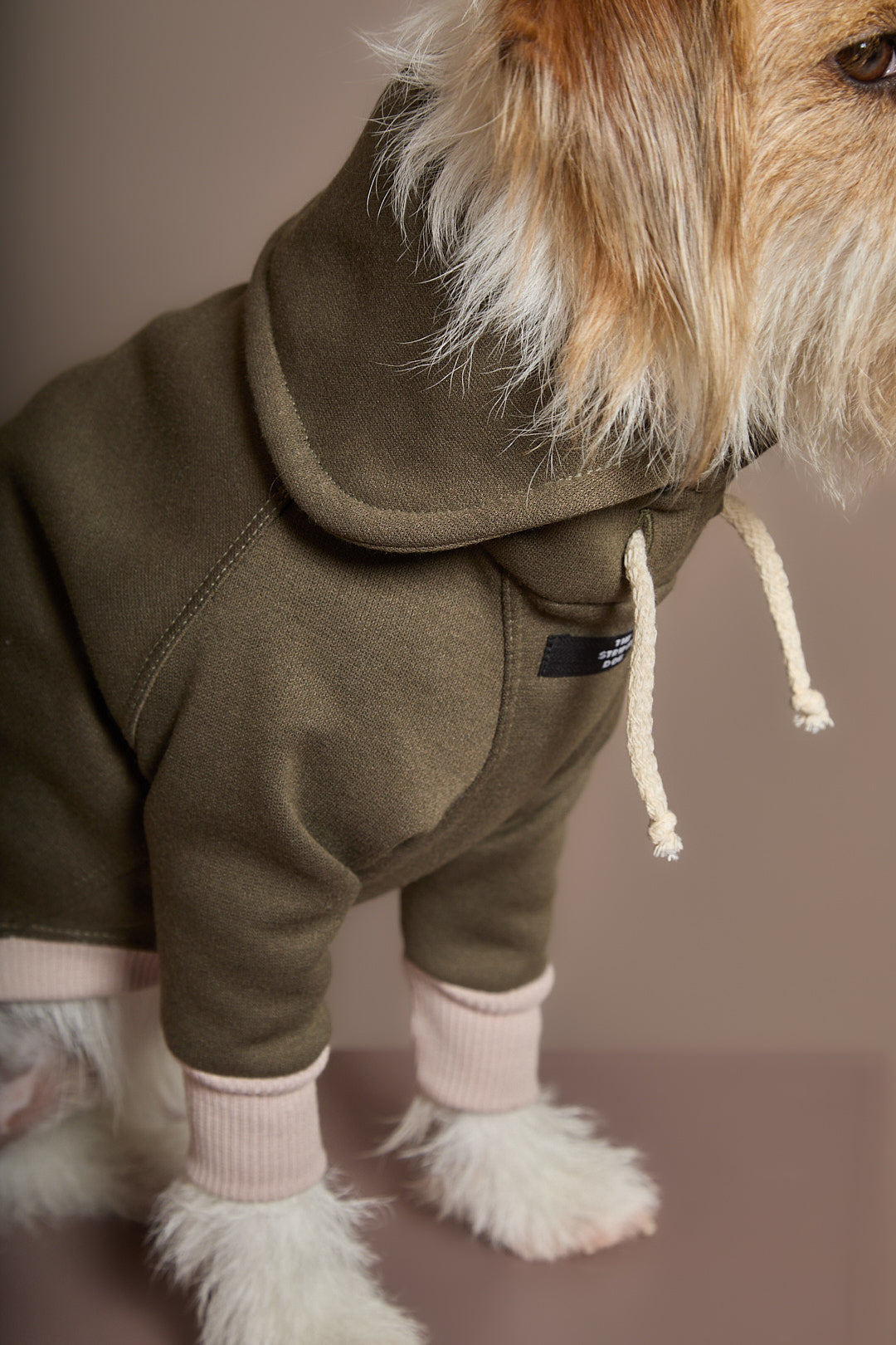 Buzo Verde Cuello Tortuga  STONE