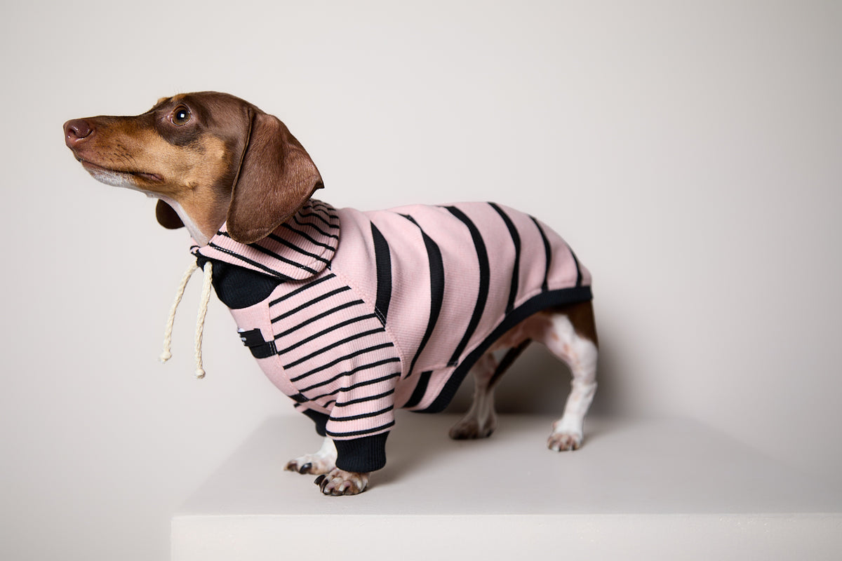 Sueter de Rayas Rosado y Negro LINE para Perro Salchicha