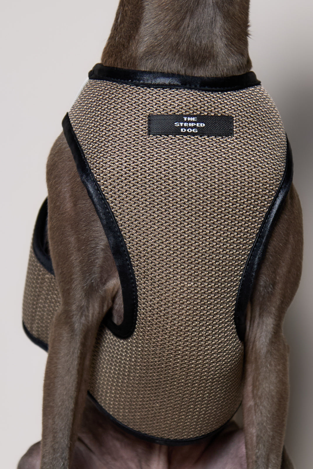 Arnes de Malla Tabaco COBBLESTONE para Galgo Italiano / Whippet