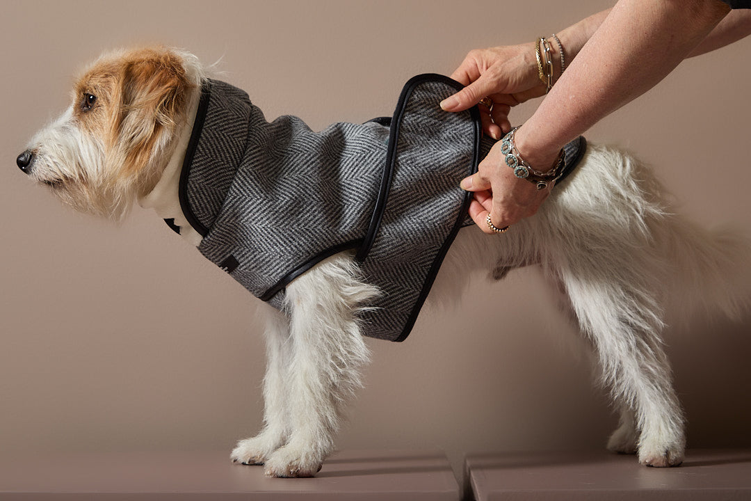 Chaqueta Gris en Espina de Pescado TWILL