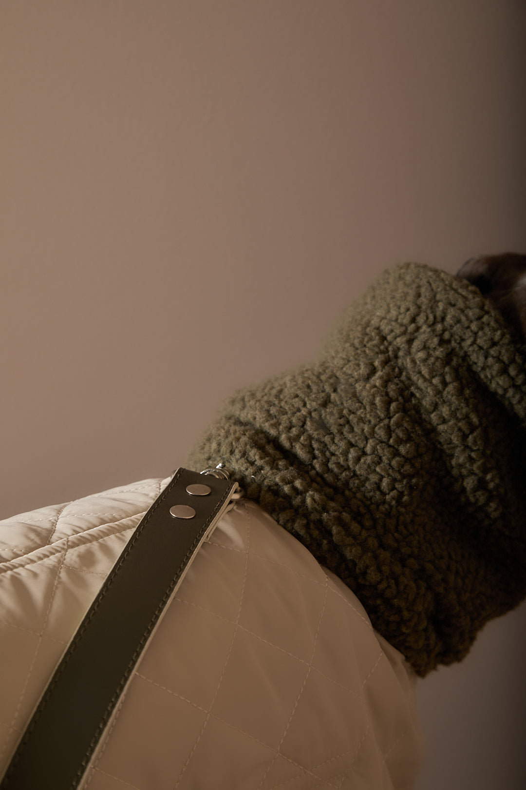 Capa Beige Galgo Italiano / Whippet FAWN