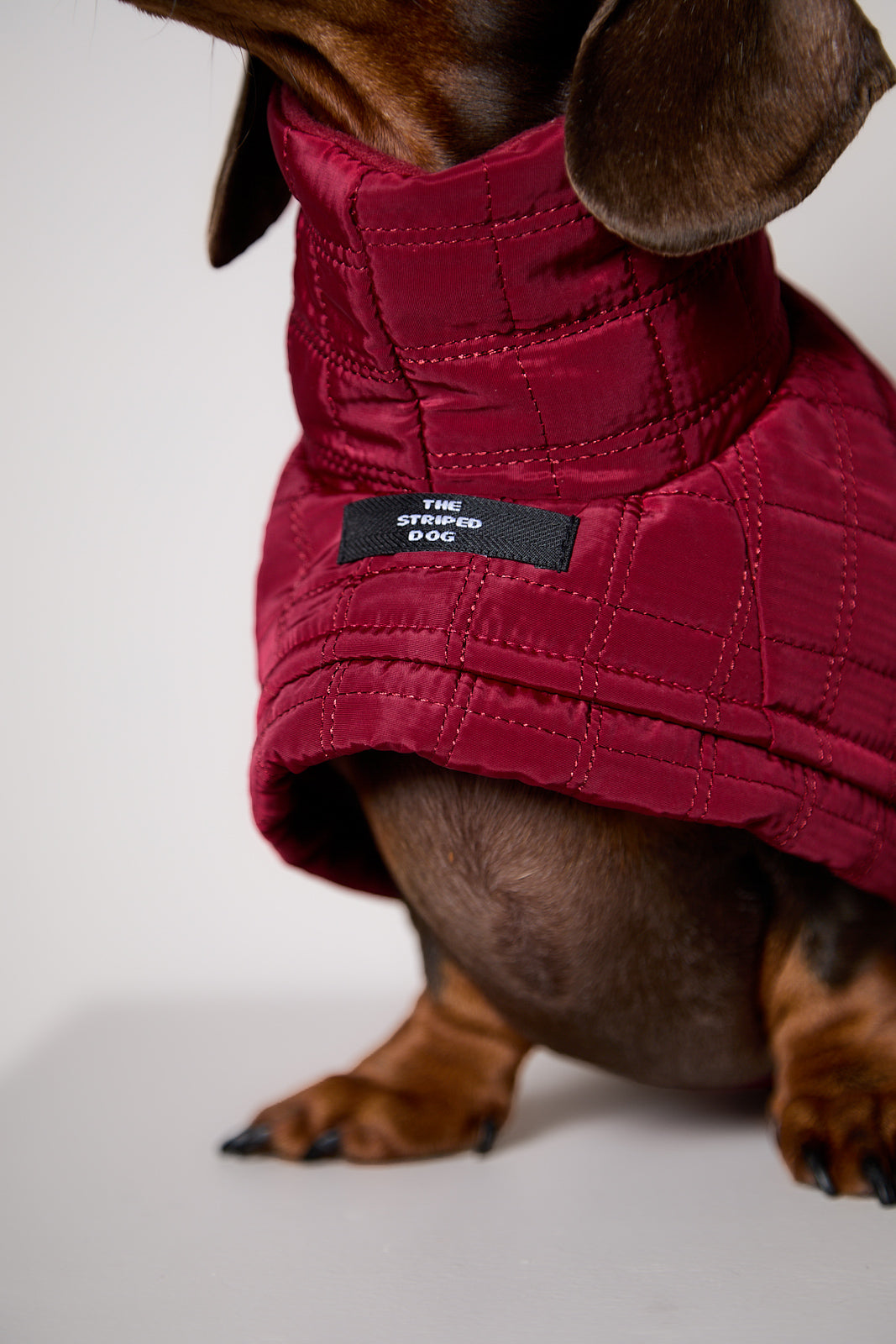 Chaqueta Acolchada Cuello Tortuga Vinotinto VELA para Perro Salchicha