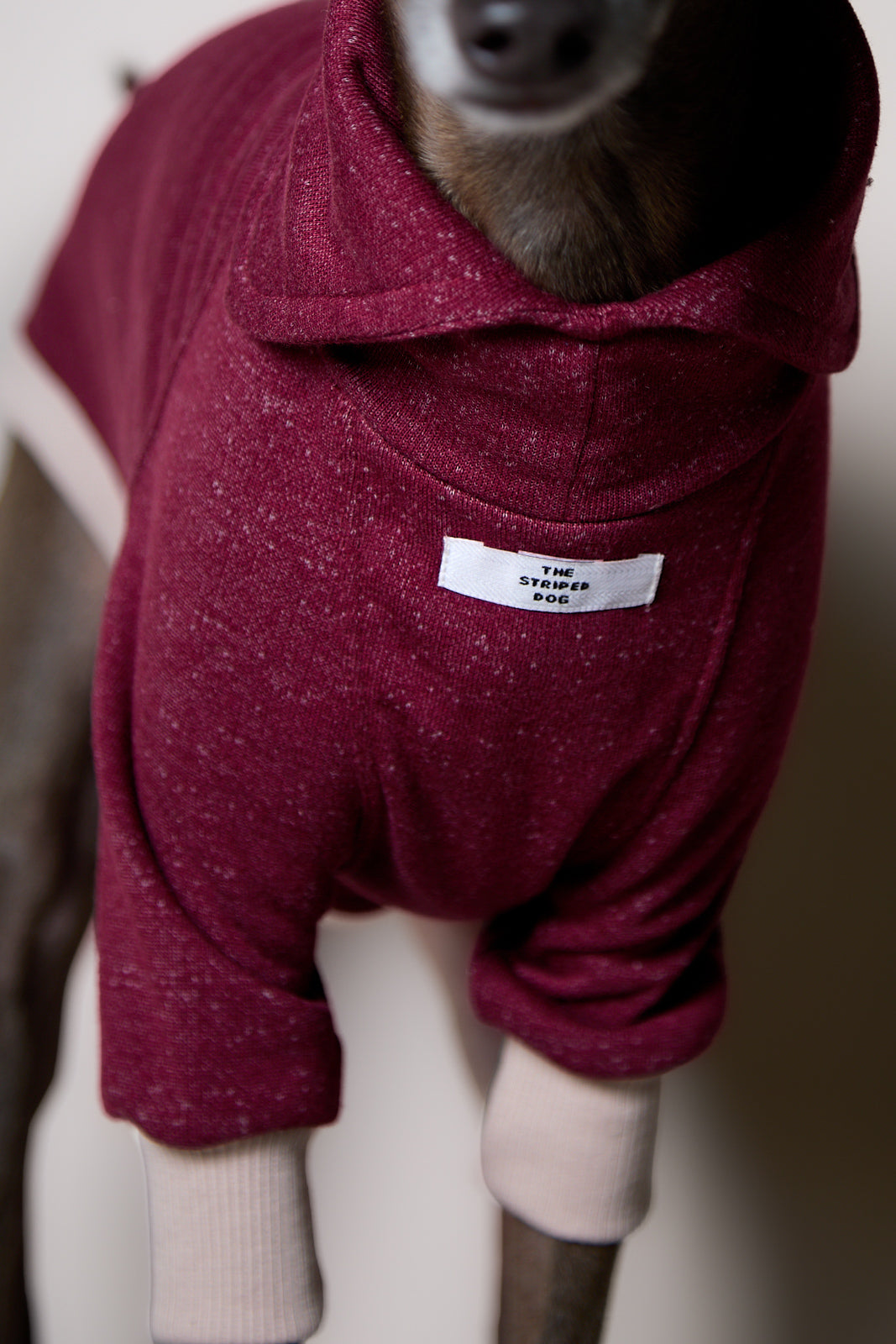 Sueter Cuello Alto Vinotinto DUSK para Galgo Italiano / Whippet